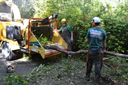 tree services Smackover